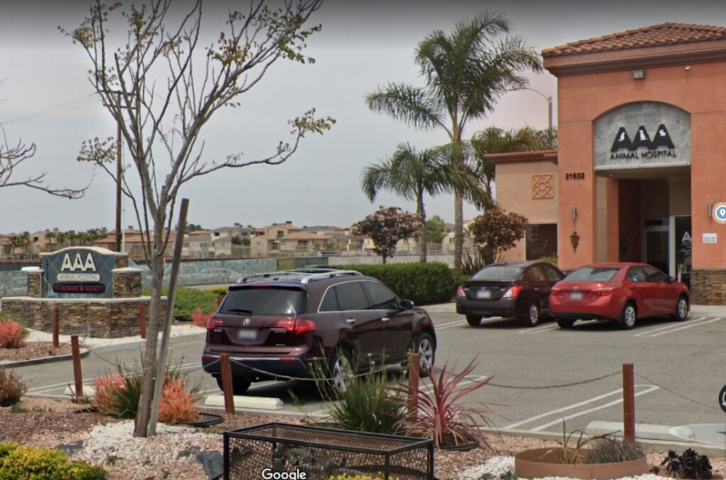 Orange County Humane Society in Huntington Beach, CA