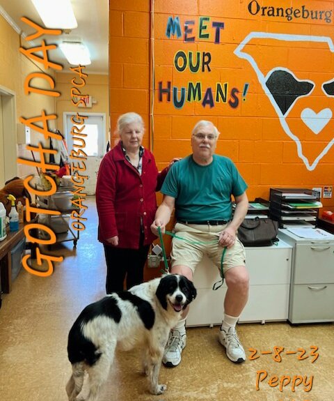 Orangeburg SPCA animal shelter in Orangeburg, SC