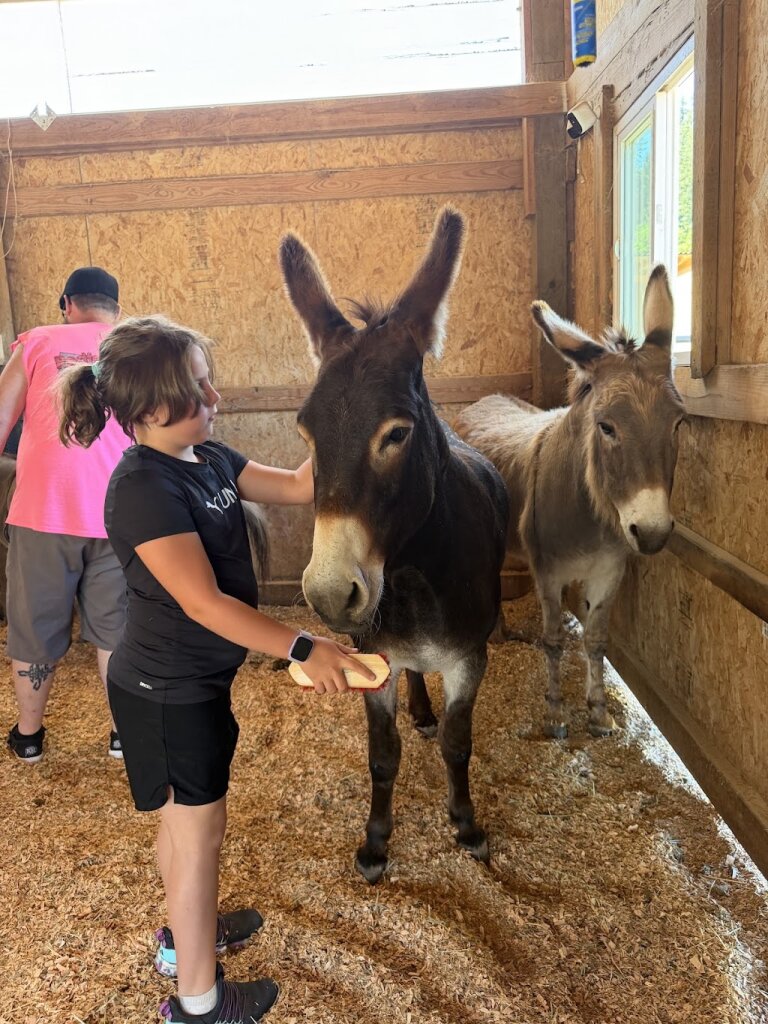 Oregon Donkey Sanctuary animal shelter in Oregon City, OR