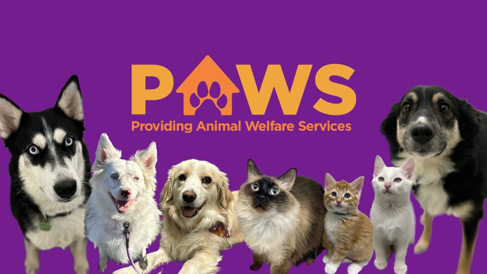 PAWS - Providing Animal Welfare Services animal shelter in Jackson, WY