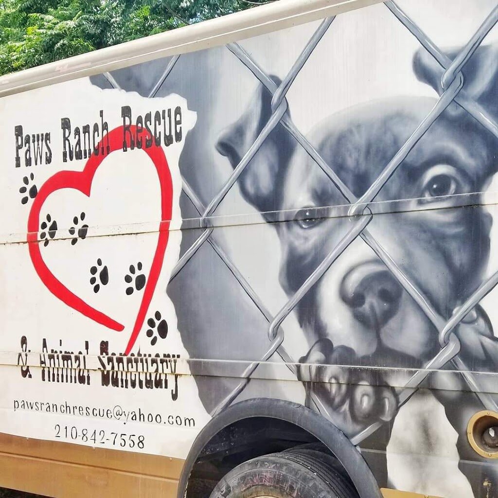 Paws Ranch Rescue & Animal Sanctuary animal shelter in San Antonio, TX