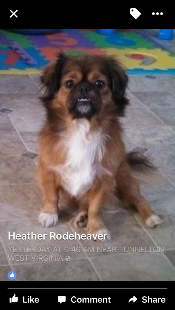 Pendleton Animal Welfare Shelter in Franklin, WV