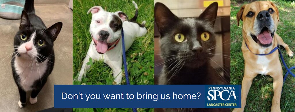 Pennsylvania SPCA Lancaster Center animal shelter in Lancaster, PA