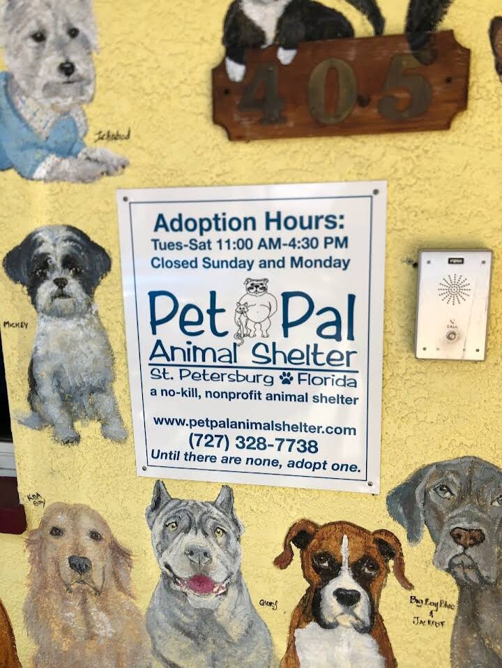 Pet Pal Animal Shelter in St. Petersburg, FL