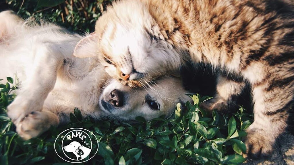 Pioneer Humane Society / PAWS animal shelter in Pendleton, OR