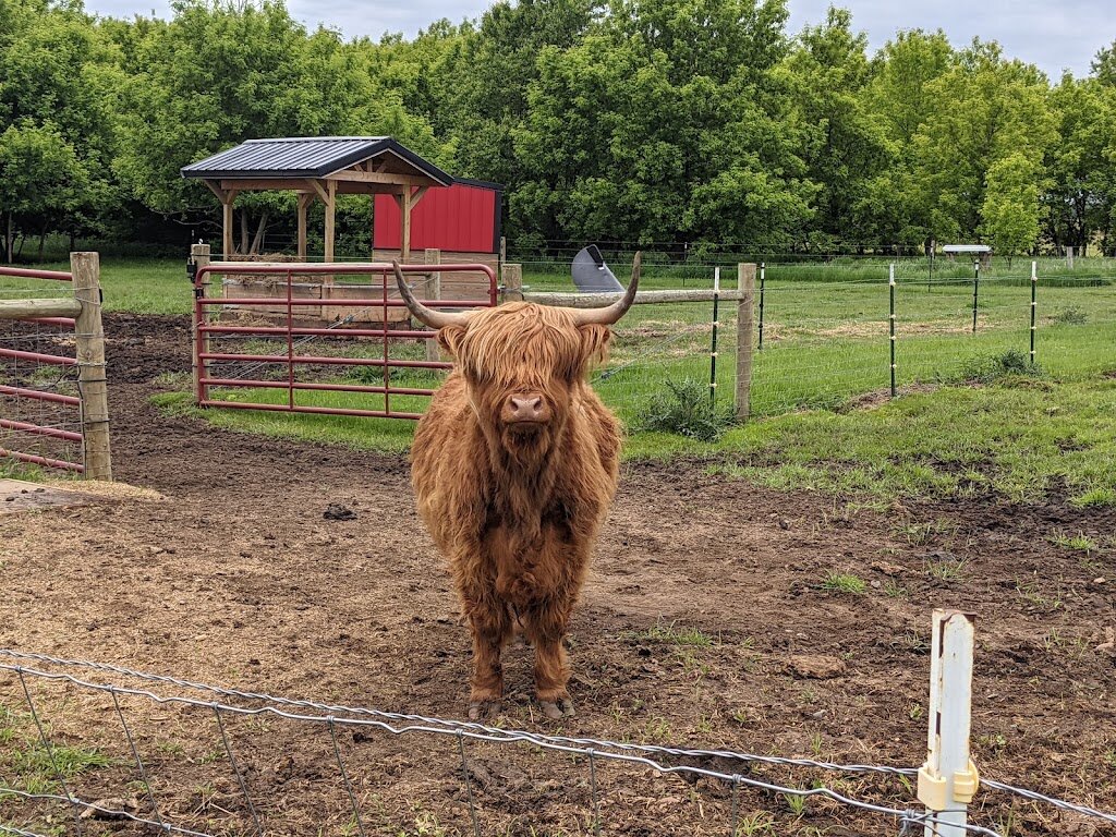 Pleasant Pasture Farm Animal Sanctuary animal shelter in New Richmond, WI