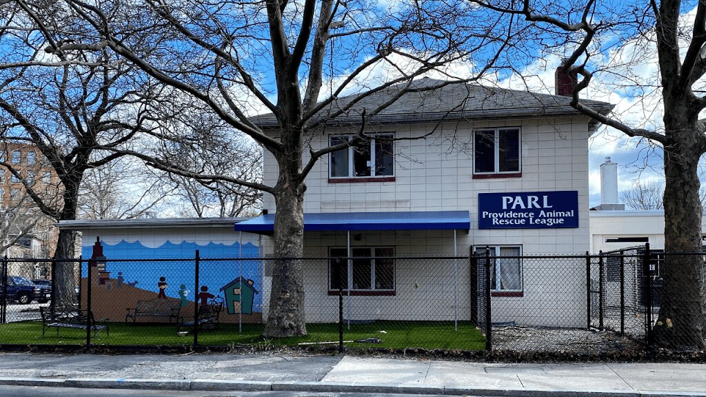 Providence Animal Rescue League animal shelter in Providence, RI