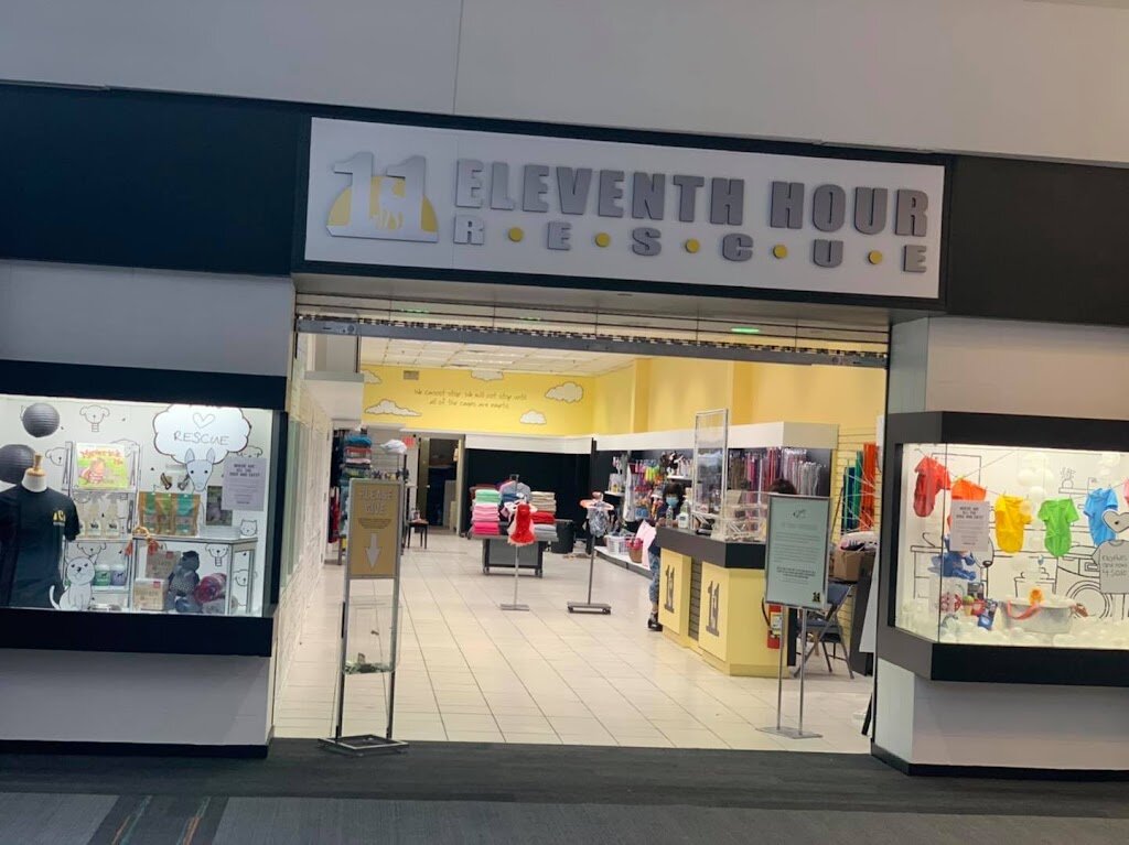 RM: Eleventh Hour Animal Rescue Cat at the Rockaway Mall in Dover, NJ