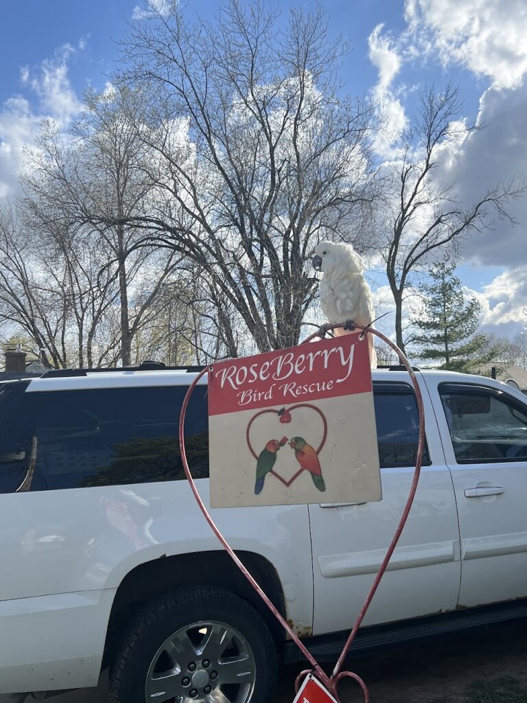​RoseBerry Bird Rescue in Little Chute, WI