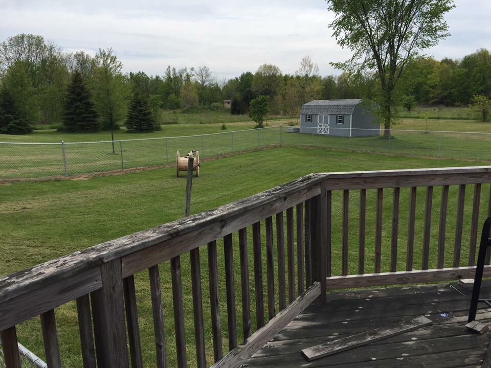 Rosey's Kennel & Rescue in Potterville, MI