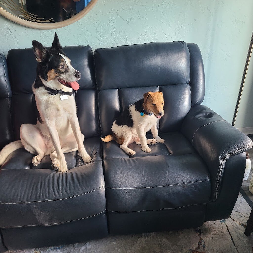 Russell Rescue of Tennessee animal shelter in Columbia, TN
