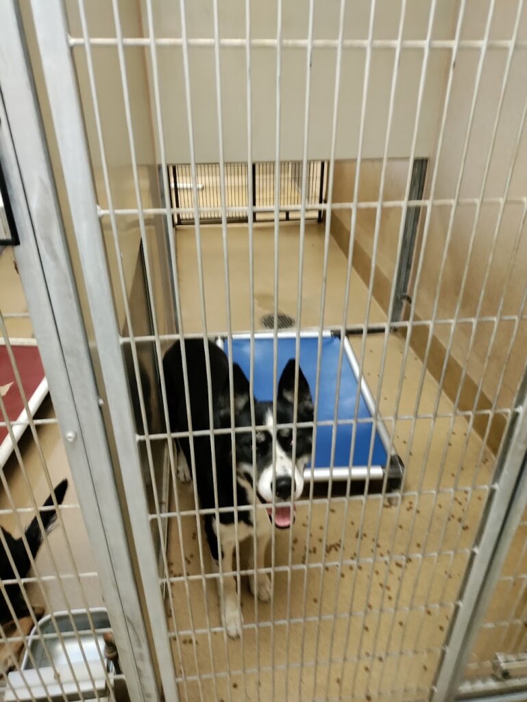 Sacramento County Bradshaw Animal Shelter in Sacramento, CA