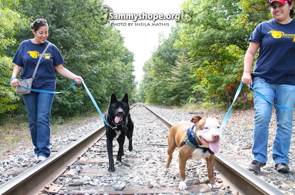 Sammys Hope Animal Welfare & Adoption Center animal shelter in Sayreville, NJ
