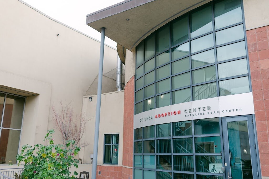 San Francisco SPCA Adoption Center animal shelter in San Francisco, CA