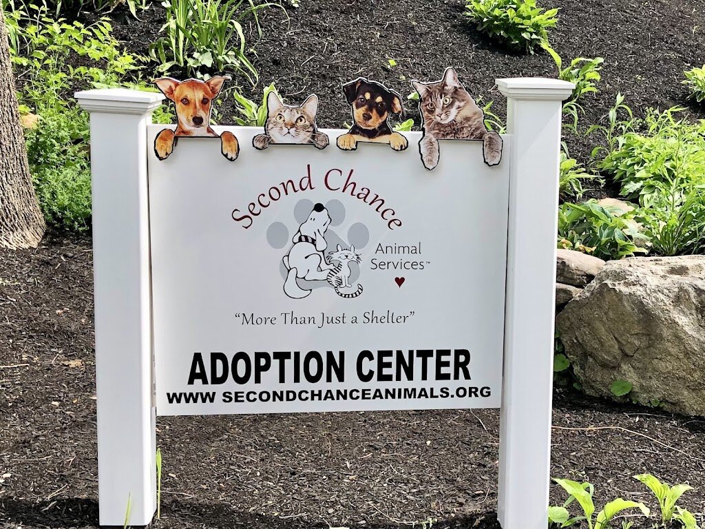 Second Chance Animal Services Adoption Center animal shelter in East Brookfield, MA