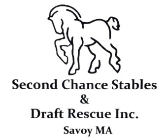 Second Chance Stables & Draft Rescue Inc in Savoy, MA