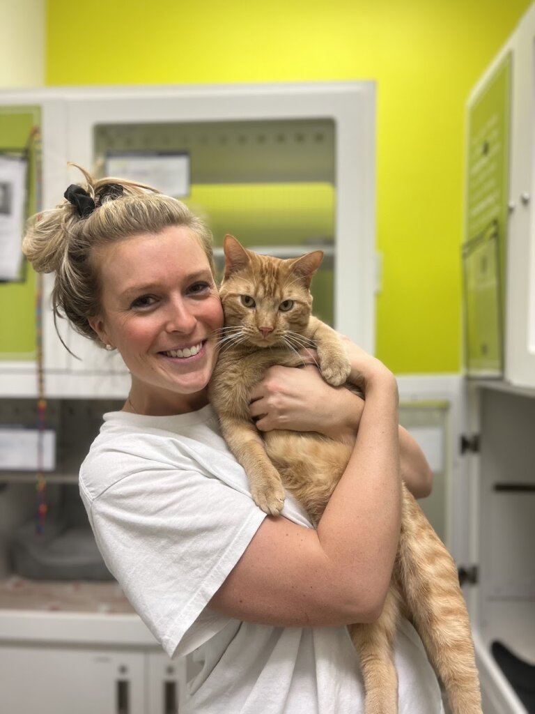 Shelter Pet Adoption Center in Huntersville, NC