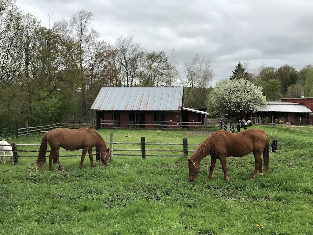 Skymeadow Farm Animal Sanctuary animal shelter in Greentown, PA