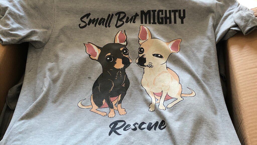 Small But Mighty Dog Rescue in Campobello, SC