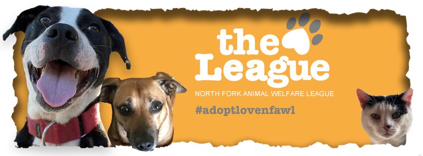 Southold Animal Shelter in Peconic, NY