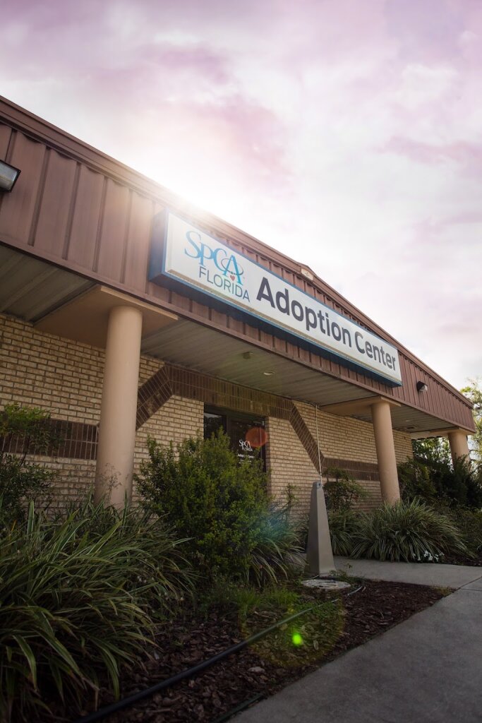 SPCA Florida Adoption Center animal shelter in Lakeland, FL
