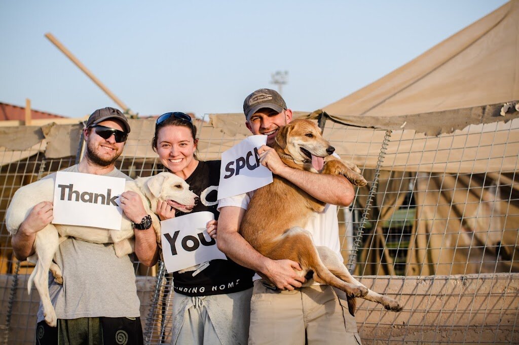 SPCA International animal shelter in New York, NY