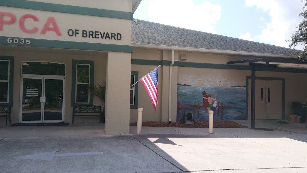 SPCA of Brevard animal shelter in Titusville, FL
