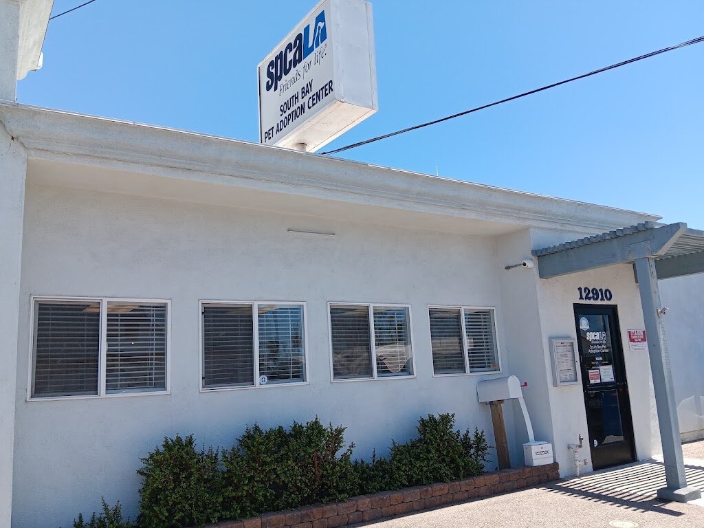 spcaLA South Bay Pet Adoption Center animal shelter in Los Angeles, CA
