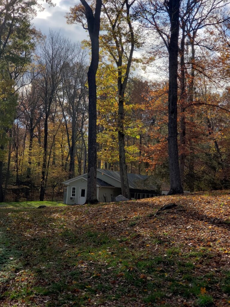 Team Animal Rescue Inc. in Bethlehem, CT