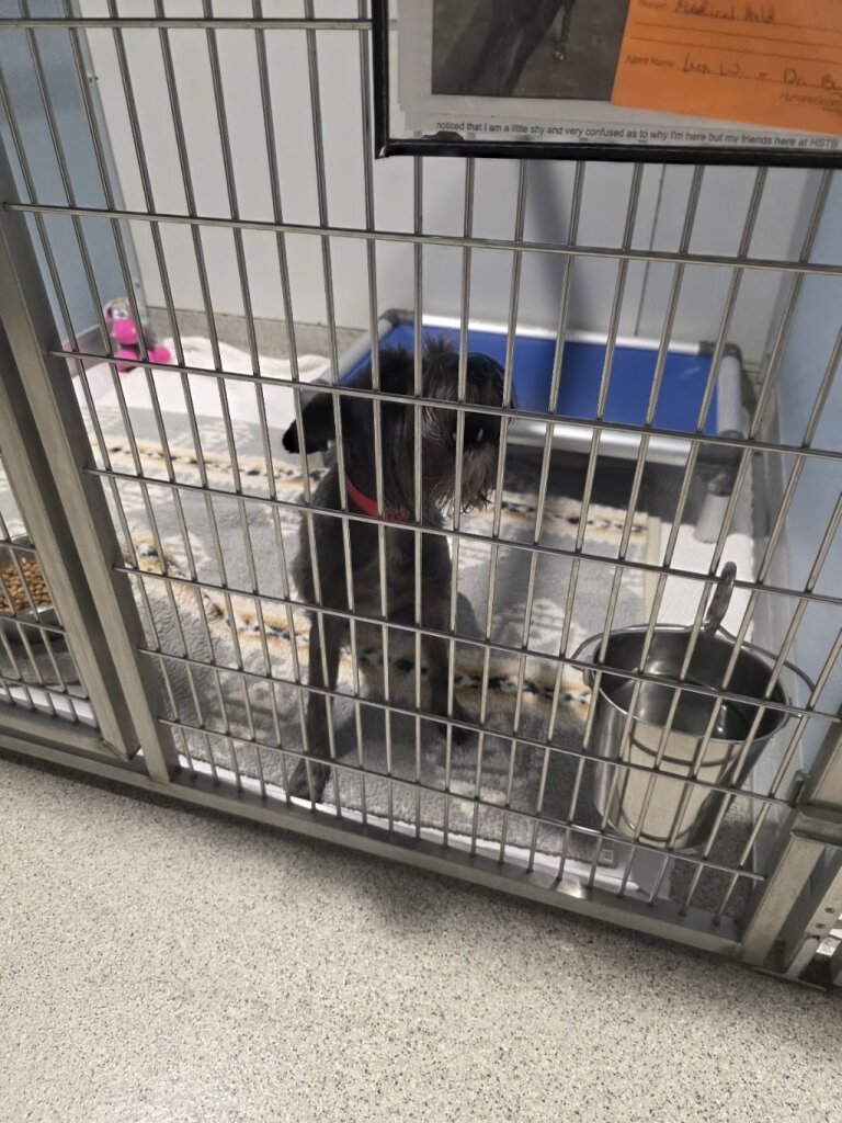 The Humane Society of Tampa Bay in Tampa, FL