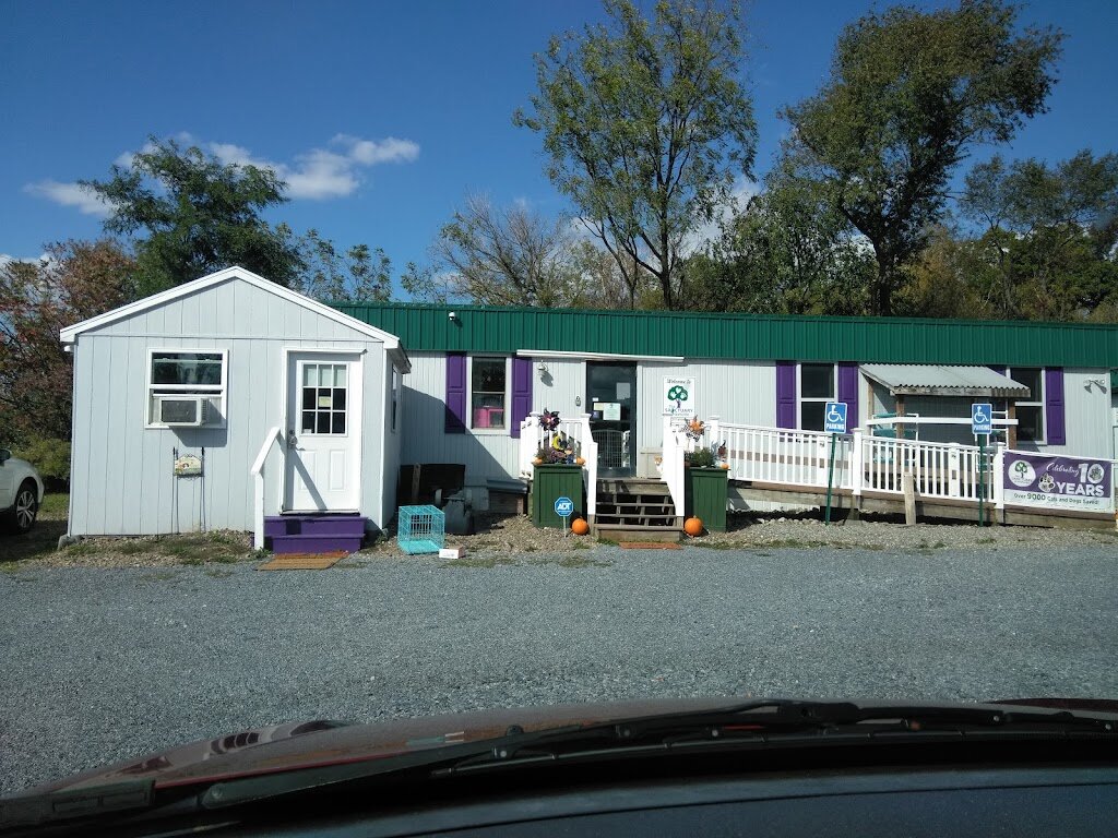 The Sanctuary at Haafsville animal shelter in Breinigsville, PA