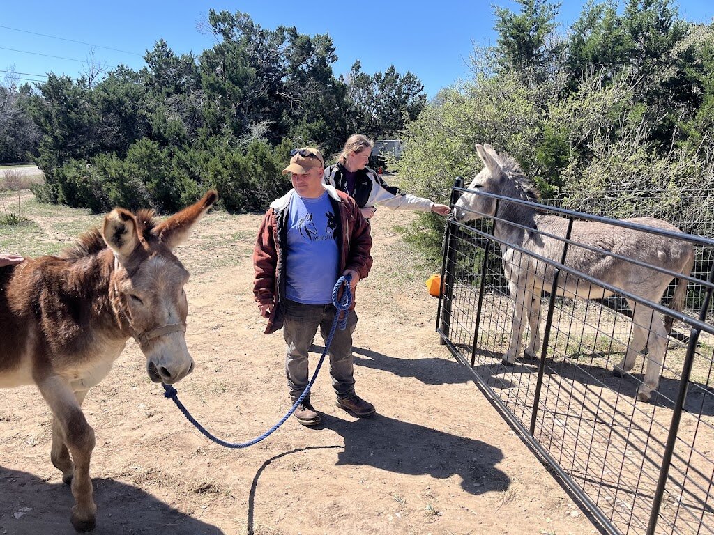 TMR Rescue in Plantersville, TX