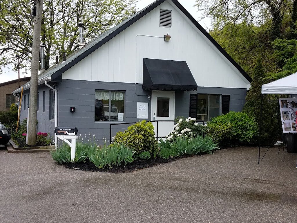 Town of Huntington Cat Shelter Managed by Little Shelter Animal Rescue & Adoption Center in East Northport, NY