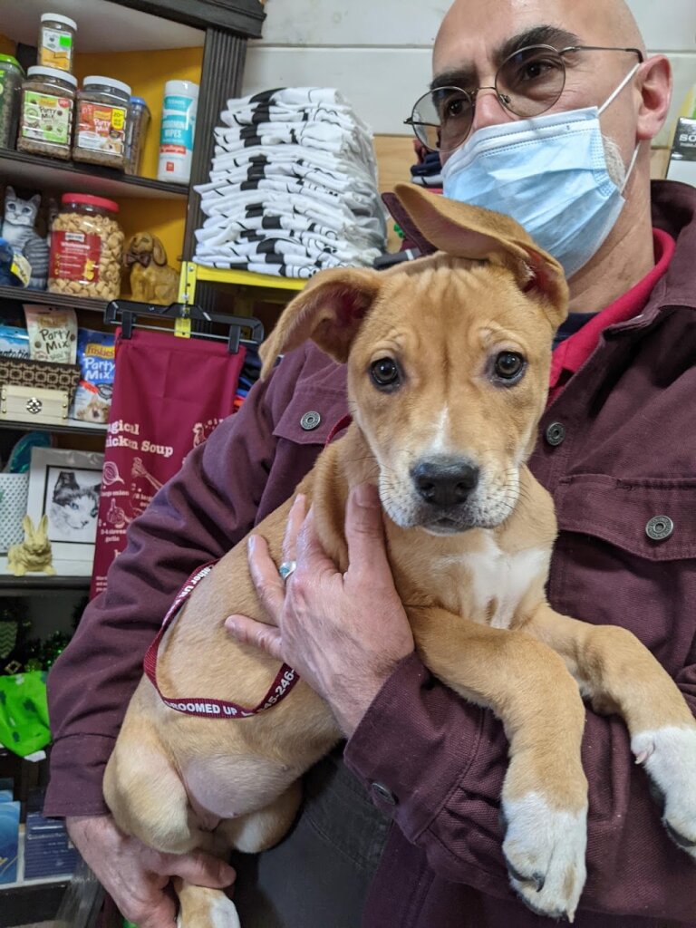 Town of Saugerties Animal Shelter in Saugerties, NY