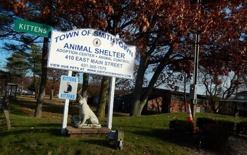Town of Smithtown Animal Shelter in Smithtown, NY