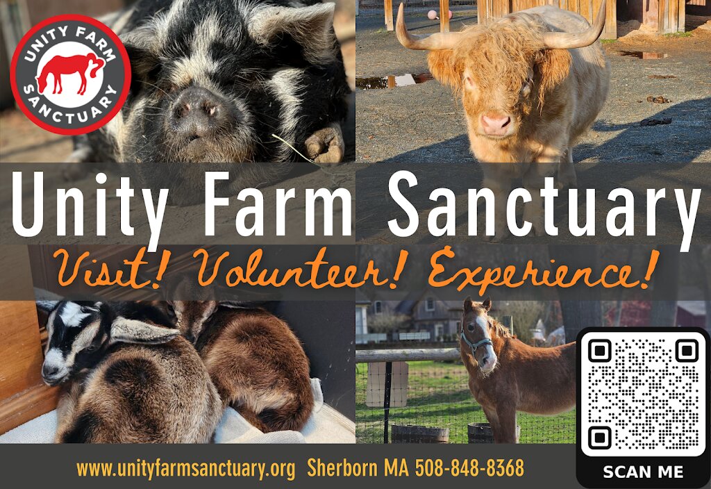 Unity Farm Sanctuary animal shelter in Sherborn, MA