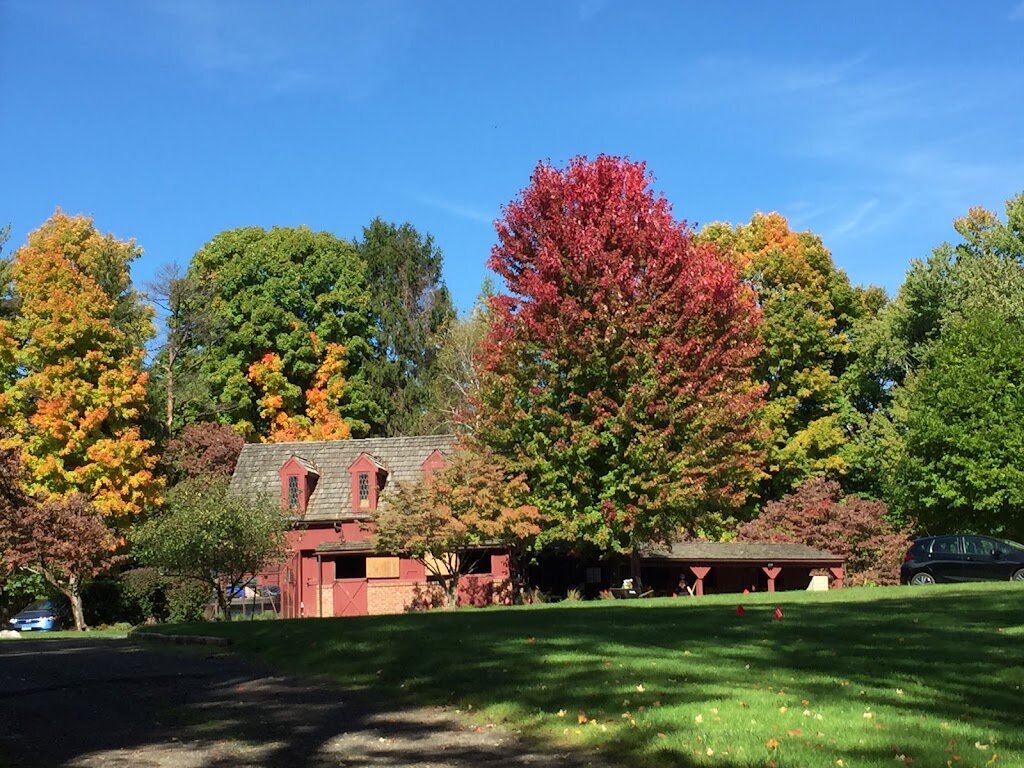 US Horse Welfare and Rescue Organization in Avon, CT