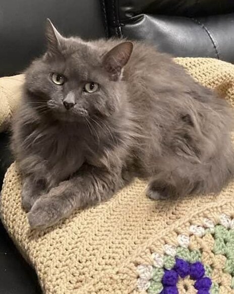 Vernon Animal Shelter in Vernon Township, NJ