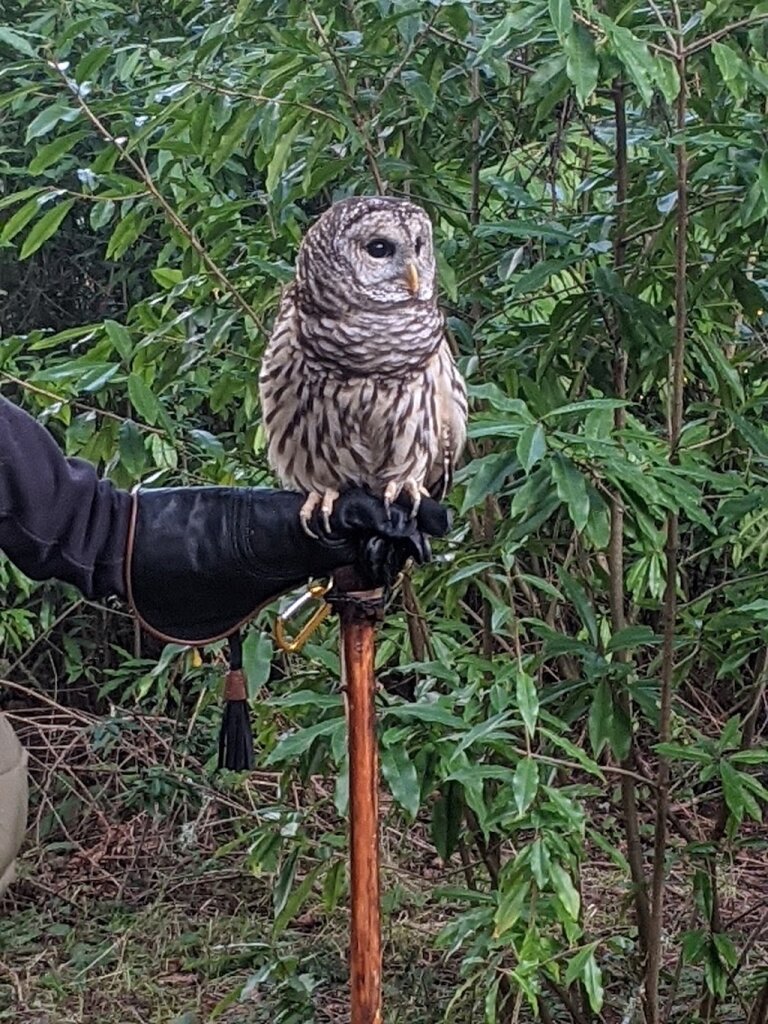 West Sound Wildlife Shelter in Bainbridge Island, WA