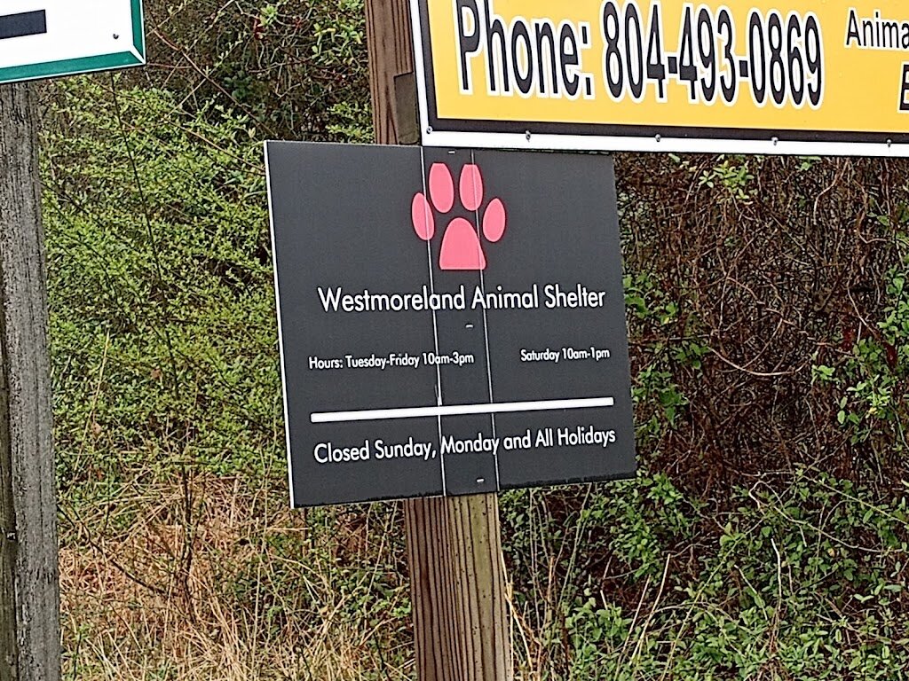 Westmoreland Animal Shelter in Montross, VA