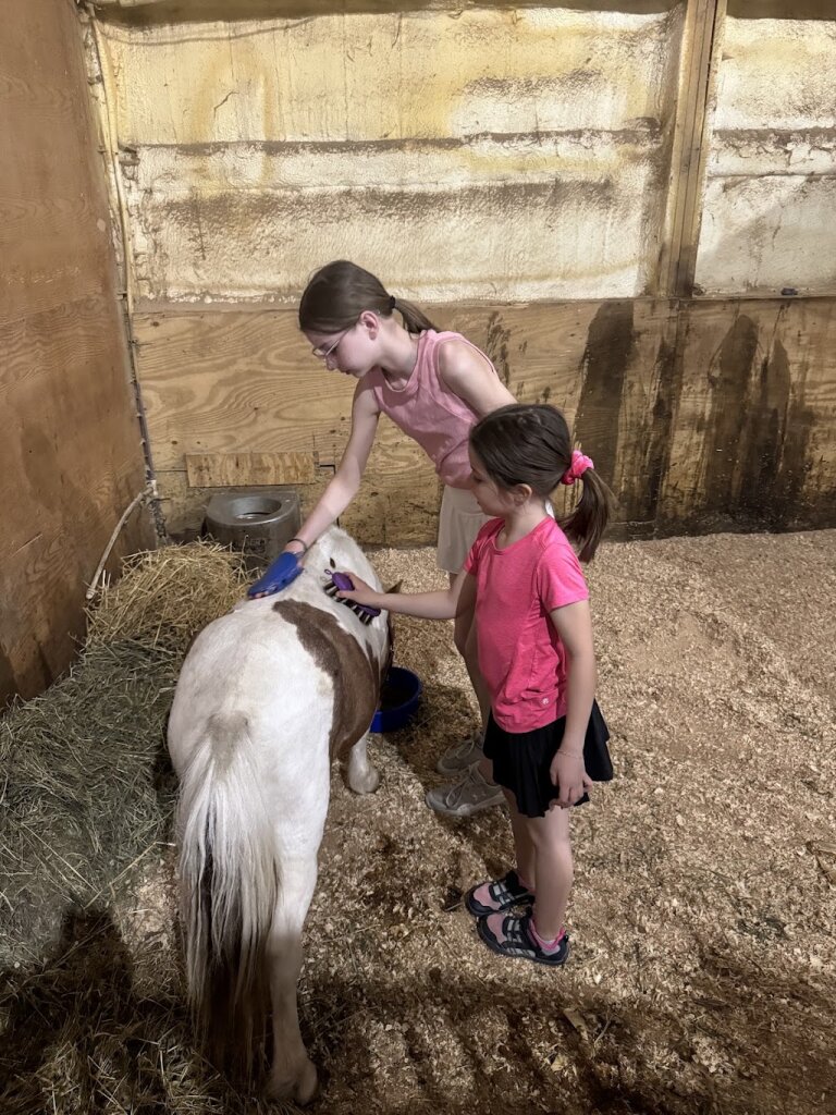 Whistler’s Run & Rescue in De Pere, WI