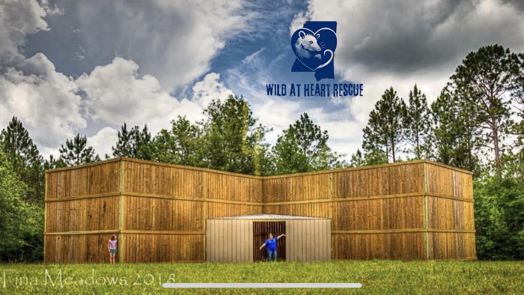 Wild At Heart Rescue animal shelter in Vancleave, MS