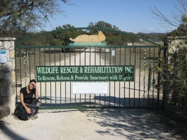 Wildlife Rescue & Rehabilitation in Kendalia, TX