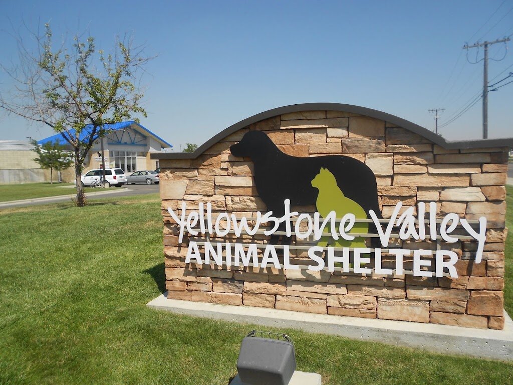 Yellowstone Valley Animal Shelter in Billings, MT