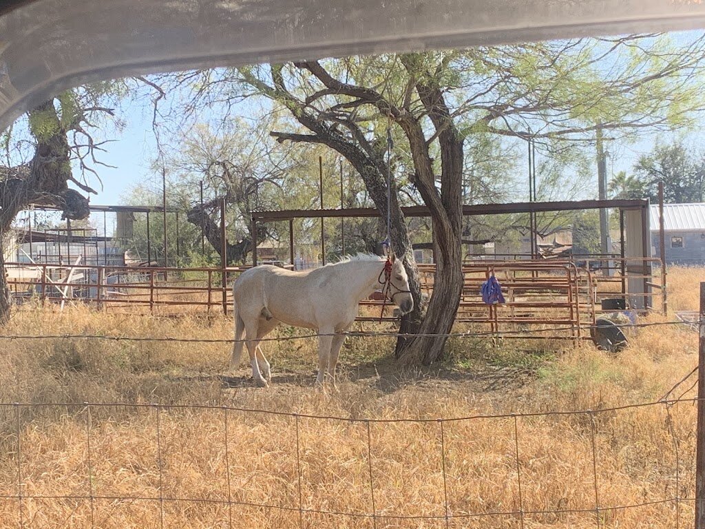 Zapata County Animal Shelter in Zapata, TX