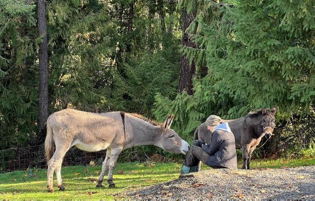 Zeb's Wish Equine Sanctuary animal shelter in Sandy, OR